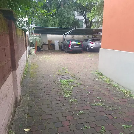 Cavallotti